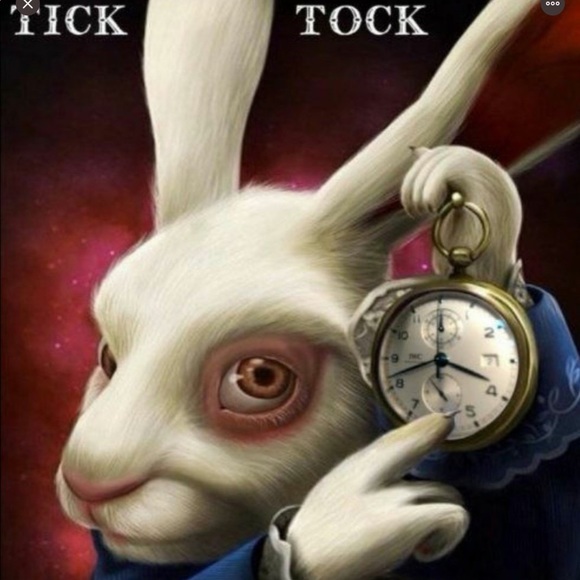 Meet your Poshers, DaPursePlace! - Picture 12 of 15